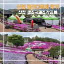 2023년 산청 생초국제조각공원 꽃잔디 축제 후기