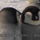 하비데이 이미지