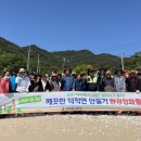 덕적면 면사무소 이미지