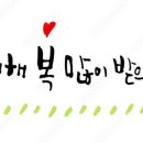 더레드피부과의원 이미지
