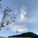 남산아트몬스테이 - 송파구 동남로6나길 4 | 남산아트몬스테이