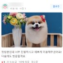 마실오개 이미지
