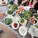 [ 남해 여행 2️⃣ ] 남해 동남해농협삼동점 | 바베큐 장보기 후기
