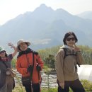 오렌지 꽃향기는 바람에 날리고 이미지