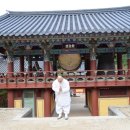 증도가 이미지