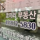 코끼리부동산중개 이미지