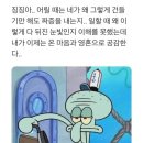 픽어스 이미지