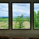 오송한약국 이미지