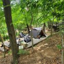 화왕산자연휴양림(창녕) 이미지