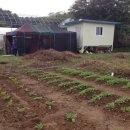 머물농장 이미지