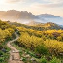 씨유 이천백사현대점 | 경남 하동 삼성궁, 지리산 숨은 매력과 맛집, 카페 탐방 꿀팁!