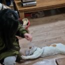 수복탑공원 이미지