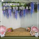 김해 아이랑 체험 우리 농촌갈래? 플라워팜팜 해바라기 체험 내돈내산 찐 후기