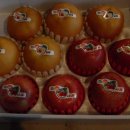 화남농장 이미지