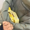 빨강뚜껑정육식당