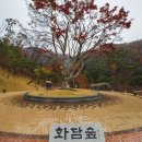 모노레일커피 이미지