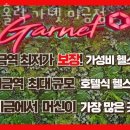 익스홀릭 가넷 이미지