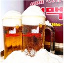 얼맥당 이넷뉴스