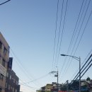 금화장 이미지