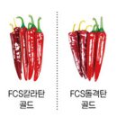 맵기·수확 시기 차별화...농가 소득 높여줄 &#34;고추품종&#34;은?