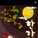 워시박스 이미지