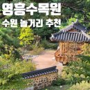 힐링에세이+ 숲(영흥수목원) | 수원 놀거리 단풍구경 데이트 코스 영흥수목원 주변 맛집