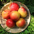 아나파의원 이미지