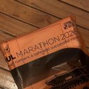 2026서울마라톤(동아마라톤) 10k 참가후기