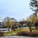 광교푸른약국 | 북캉스ㅡ푸른숲 책뜰 이용후기