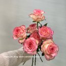 H·S·H Farm | 2026 웨딩부케 트렌드 총정리 💐 예신 플로리스트가 직접 뽑은 올해의 부케