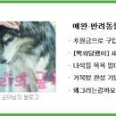 금란동물병원 이미지