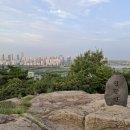 모박사