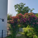 청해대복 | 낙향 귀향 하방