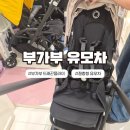 신세계시코르AK플라자원주점 | [육아/부가부] AK플라자 원주 부가부 드래곤플라이 신형 대기없이 바로 구매한 후기