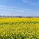 대저생태공원 이미지