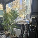 버드나무집 이미지