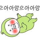날라리포차 - 강릉시 | 날라리포차