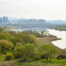 금강수변공원(보람동) 네이버블로그