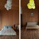 도시고양이생존연구소 이미지