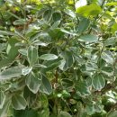 동희산업김천공장 이미지