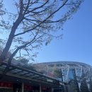 [KBL] 안양 정관장 아레나 직관 후기 (2024.01.11) 안양 정관장 vs 창원 LG
