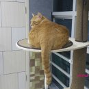 무안동물병원 이미지