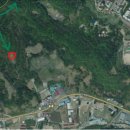 기계유씨묘역 및 신도비 이미지