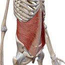 드림헬스 이미지