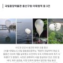 북한 오물풍선, 용산 대통령실 인근서도 발견(미국의 의심) 이미지