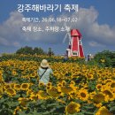 4산업단지 축구장 | 1539.강주해바라기 축제/축제 기간/축제 장소/강주 가볼만한곳