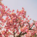 동산공영주차장 화장실 이미지