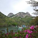 2차보성 이미지