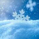 세인치과의원 이미지