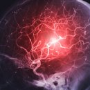 이푸른요양병원 이미지